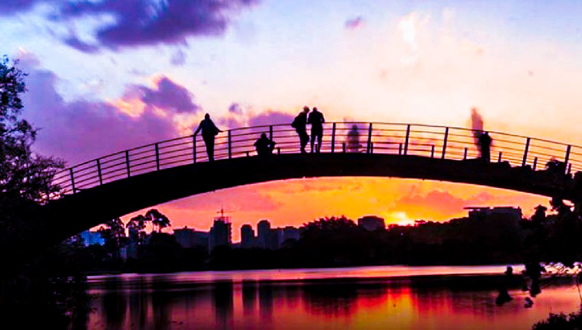 Ensaio Fotográfico no Ibirapuera
