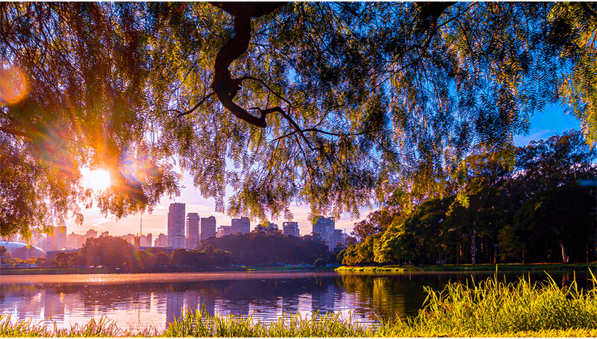 Ensaio Fotográfico no Ibirapuera