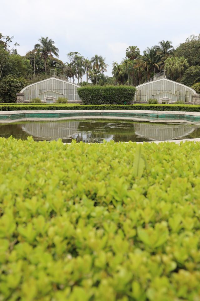 ensaio jardim botânico
